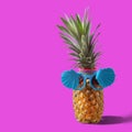 Summer and Holiday concept.Hipster Pineapple Fashion Accessories