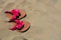 Summer holiday concept Royalty Free Stock Photo