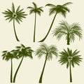 Summer holiday palm tree vector silhouettes