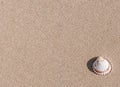 Summer holiday poster with seashells, starfishes on sand ocean beach background. Summer vacation and product Royalty Free Stock Photo