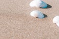 Summer holiday poster with seashells, starfishes on sand ocean beach background. Summer vacation and product Royalty Free Stock Photo