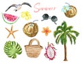 Summer holiday set with symbols of beach vacation. Watercolor palm tree, sunglasses, cococnut cocktail, exotic fruits and flowers