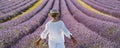 Summer holiday travel destination europe lavender field tourism. One woman back view white elegant dress walking in purple flowers Royalty Free Stock Photo