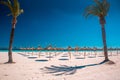 Summer holiday on tropical beach. Palm trees, blue sky. Playa de Muro, Spain Royalty Free Stock Photo