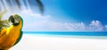 summer holiday on tropical sea sandy beach banner design with copy space Royalty Free Stock Photo