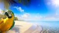 summer holiday on tropical sea sandy beach banner design with copy space Royalty Free Stock Photo