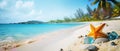 Summer holiday on tropical sea sandy beach banner. Royalty Free Stock Photo