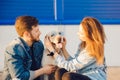 Summer holiday of young family with dog in nature sunset, pet Labrador Retriever is happy and joyful, stuck out his Royalty Free Stock Photo