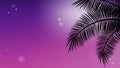Summer holidays backgrounds with animation footage of wriggle branches of tropical palms tree on colorful sunset sky.