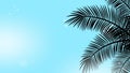 Summer holidays backgrounds with looping animation footage of wriggle branches of tropical palms tree on bright blue sky.