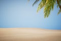 summer holidays on the beach. sandy beach with palm tree. copy paste, copy space. 3D render Royalty Free Stock Photo