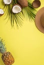 Summer holidays concept. Top view vertical photo of sunhat tropical fruits coconuts pineapple and green palm leaves on isolated Royalty Free Stock Photo