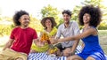 Summer holidays outdoor picnic. multiracial group of friends having food and drinking beers laying on a blanket in a park garden.