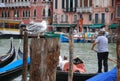 Trip to the Venice in the sunnertime