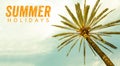 Summer Holidays text and Palm Tree against sunny clear sky panoramic background Royalty Free Stock Photo