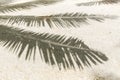 Palm tree shadow on sand of tropical beach