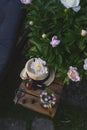 summer homemade cherry lemonade with ice in blooming garden