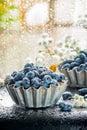 Summer honeysuckle berries in metal forms for baking Royalty Free Stock Photo