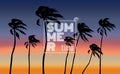 Summer horizontal banner. palm trees silhouette on sunset backround Royalty Free Stock Photo