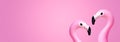 Pink banner with two flamingo Royalty Free Stock Photo