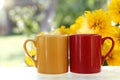 Summer hot drinks Royalty Free Stock Photo