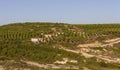 Summer Houses in Forest Tenedos Royalty Free Stock Photo