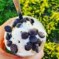 Summer ice cream banana nice cream chocolate chips green grass