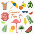 Summer icons set - flamingo. Elements for design cards, poster. Vector. Royalty Free Stock Photo