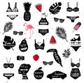 Summer icons. Vector Bikini, palm leaves, toucan bird, flamingo, sunglasses, car, women head, photo camera, watermelon silhouettes