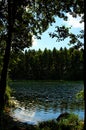 Summer idyllic landscape with a lake under a blue sky on a warm sunny day Royalty Free Stock Photo