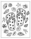 Summer illustration, flip flops on the background of a variety of seashells. Sketch for coloring books, anti stress