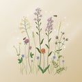 summer illustration with wildflowers and bees Royalty Free Stock Photo