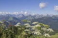 Summer im Karwendel mountains Royalty Free Stock Photo