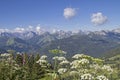 Summer im Karwendel mountains Royalty Free Stock Photo