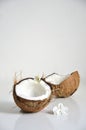 Summer image of a coconut slpit in half white flowers. Summer fruit concept
