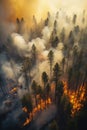 Summer Inferno - Aerial View of Smoke-Filled Burning Forest