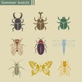 Summer insects Royalty Free Stock Photo