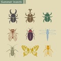 Summer insects