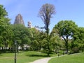 Summer Inside Central Park Royalty Free Stock Photo