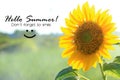 Summer inspirational quote - Hello Summer. Do not forget to smile. With smiling sunflower blossom on a field. Summer card and
