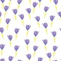 Summer isolated seamless pattern with purple little crocus flowers shapes. White background Royalty Free Stock Photo