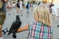 A dove sits on a child`s arm in a plaid shirt