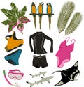 summer items set from tropical plants, parrots, swimming suit for surfing, swimming mask, snorkel, manta, reef sharks isolated,