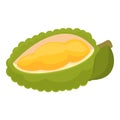 Summer jackfruit icon cartoon vector. Ripe food