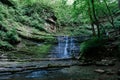 Summer Jackson falls with trees , TN Tennessee
