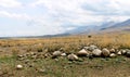 Summer in jailoo, clouds of a mountain Royalty Free Stock Photo