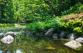 Summer japanese garden. Beautiful nature. Royalty Free Stock Photo