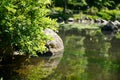 Summer japanese garden. Beautiful nature. City park Royalty Free Stock Photo