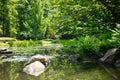 Summer japanese garden. Beautiful nature. City park Royalty Free Stock Photo