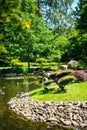 Summer japanese garden. Beautiful nature. City park Royalty Free Stock Photo